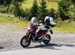 Tibor707